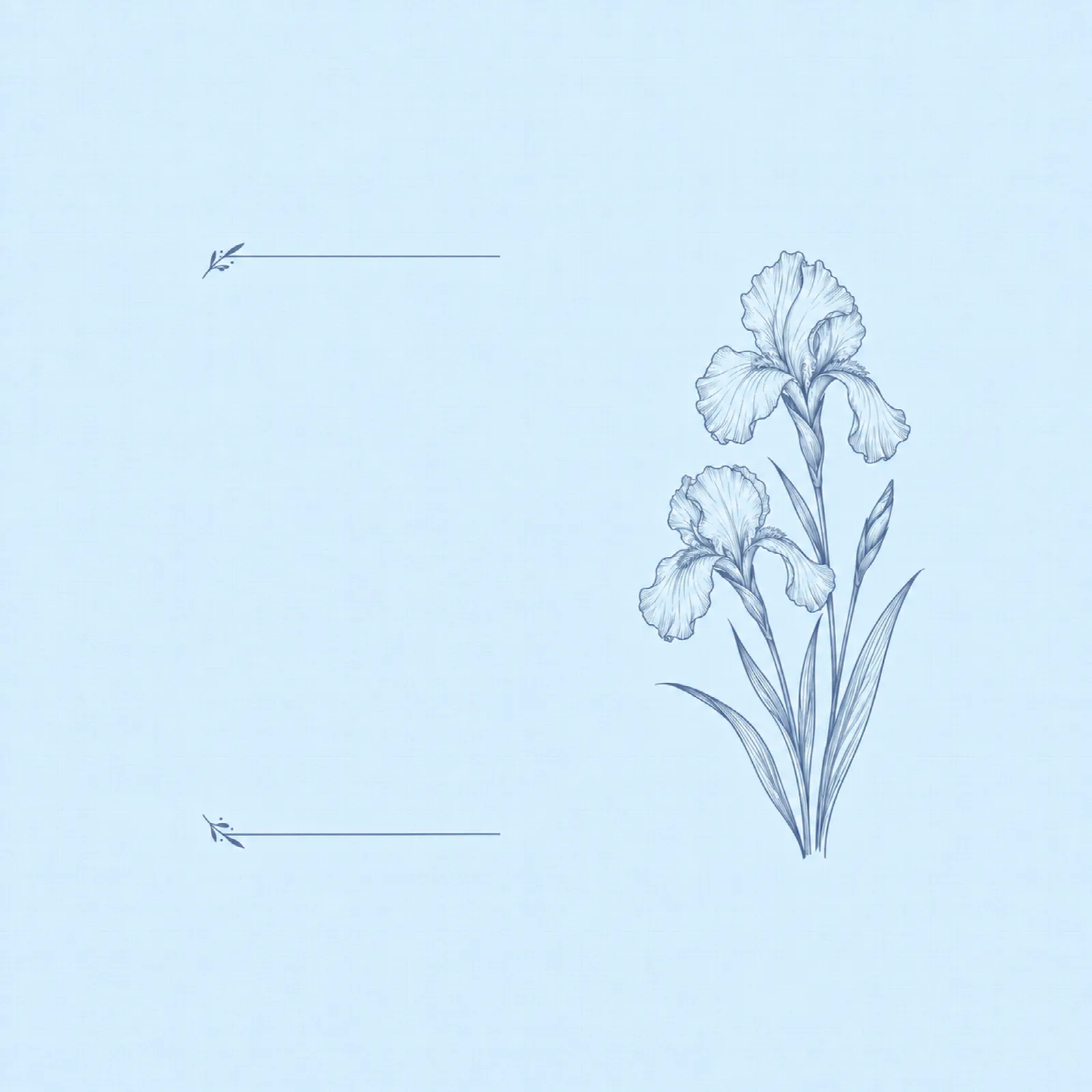 Powder Blue Iris