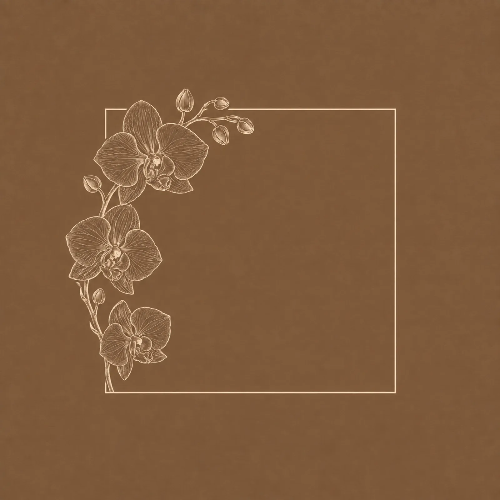 Mocha Orchid