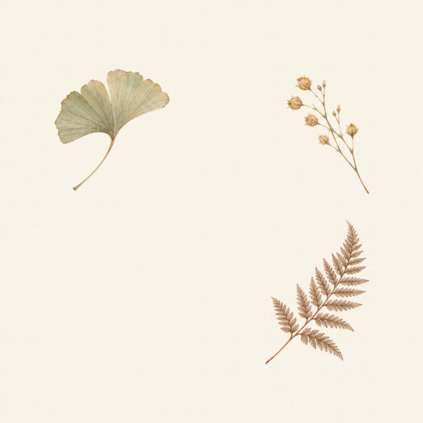Herbarium