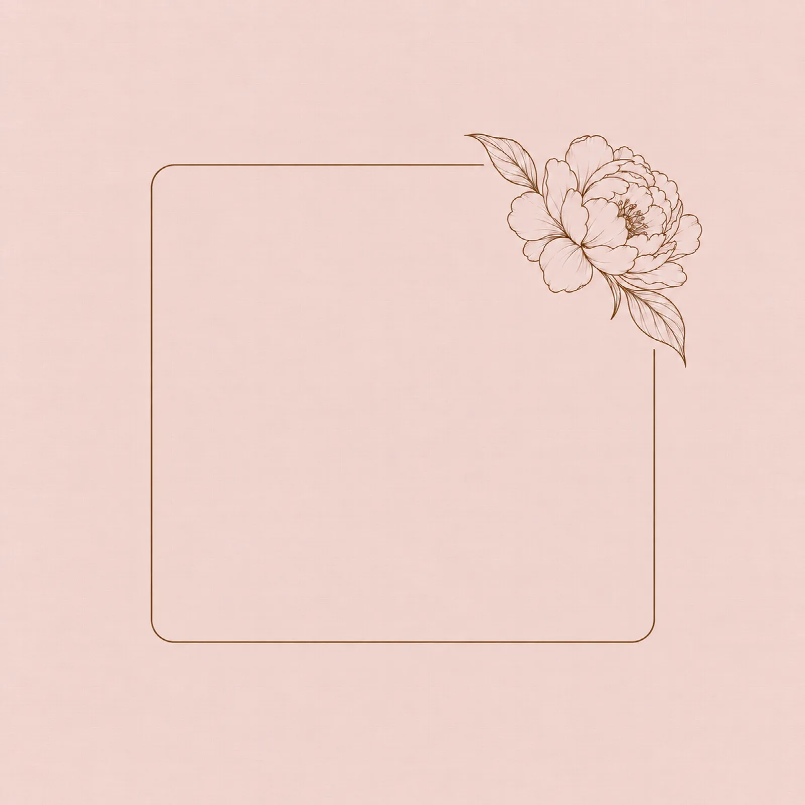 Rose Peony