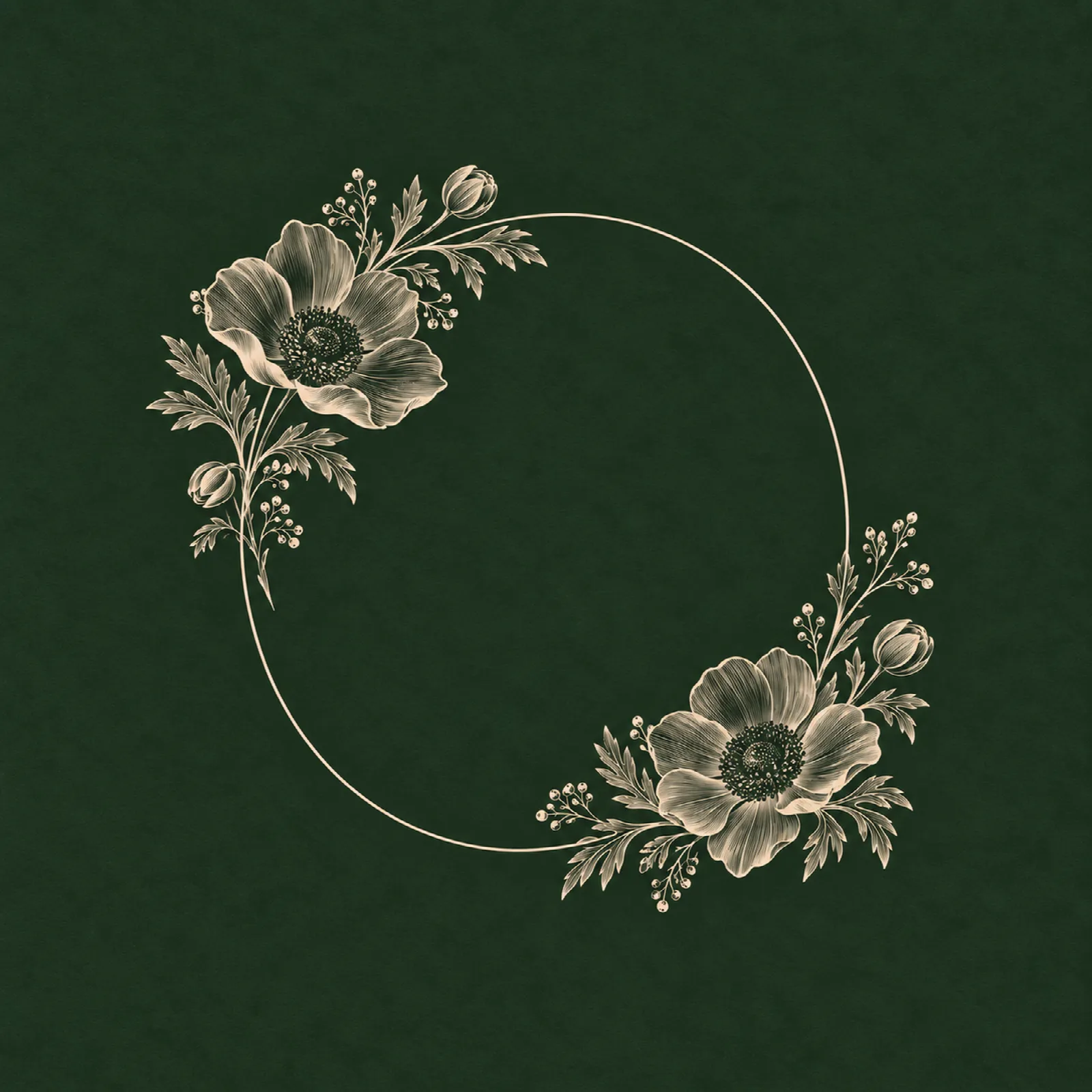 Forest Anemone