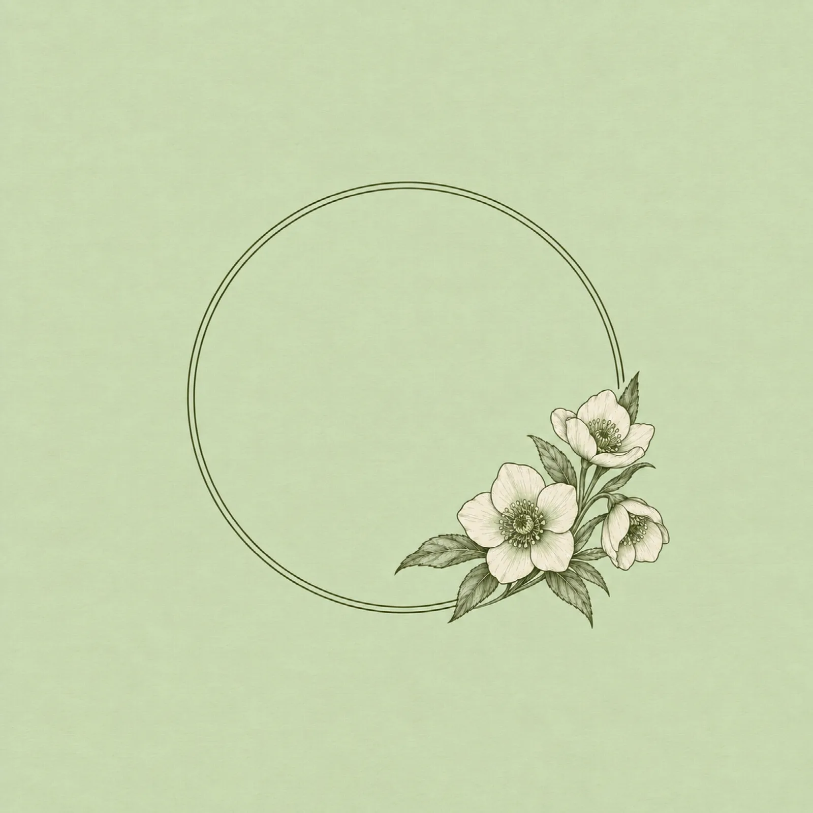 Pistachio Hellebore