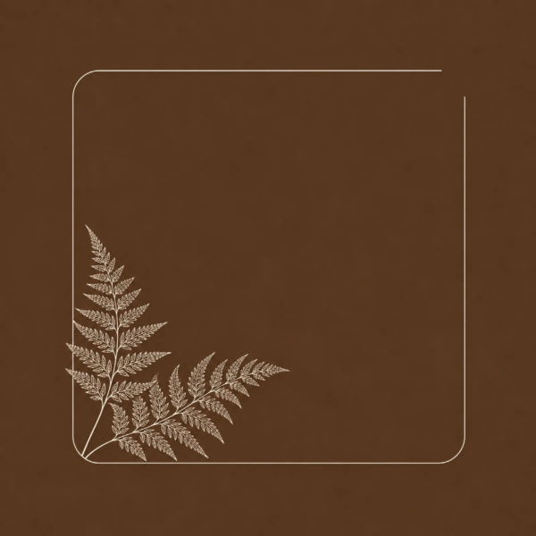 Cocoa Fern
