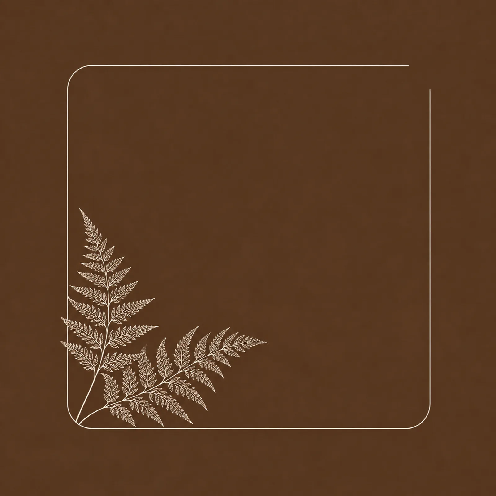 Cocoa Fern