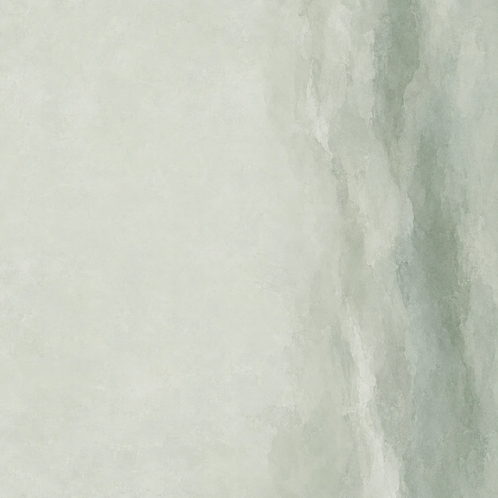 Eucalyptus Nevel